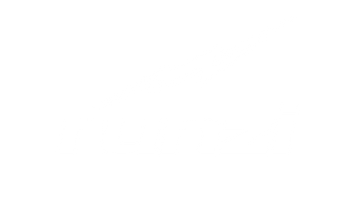 runzi
